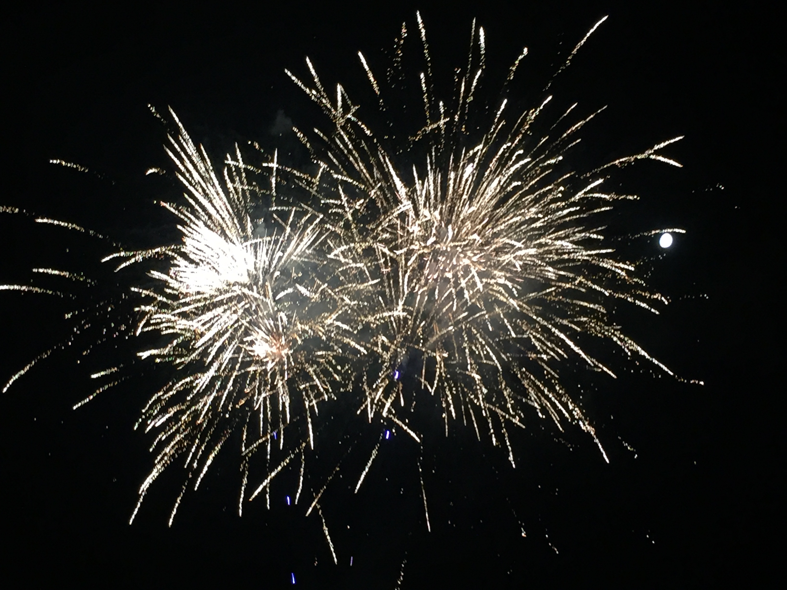 files/downloads/Silvester/feuerwerk 1.JPG